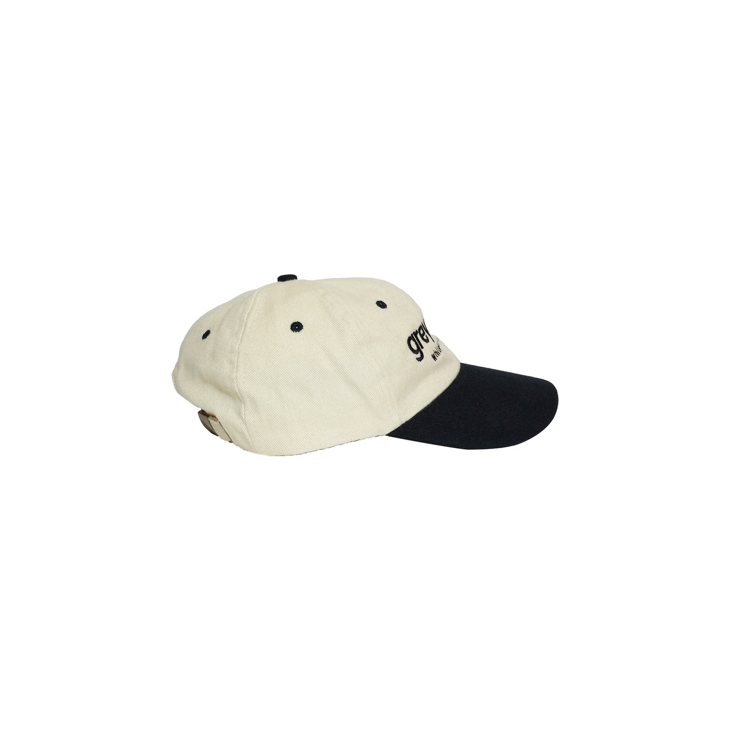 Grey Skies Lowercase Hat (Black)